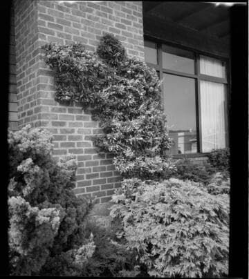Tomkins residence