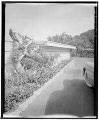 Go to image 2.