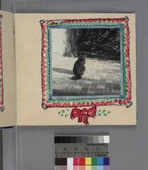 Go to image 7.