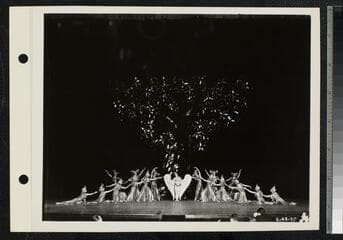 Go to image 112.