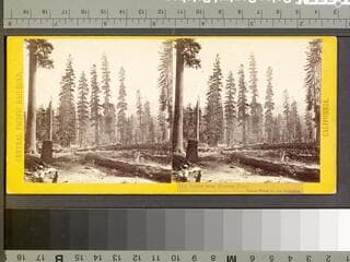Go to image 1.