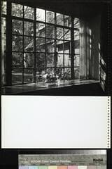 Go to image 23.