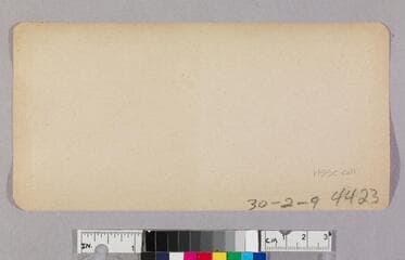 Go to image 2.