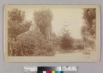 Go to image 1.