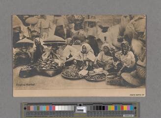 Go to image 347.