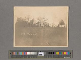 Go to image 3.
