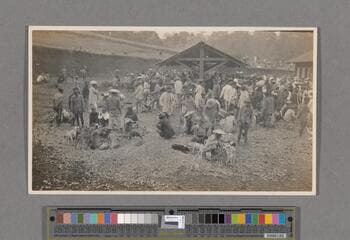 Go to image 45.