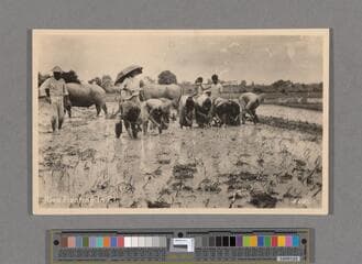 Go to image 181.