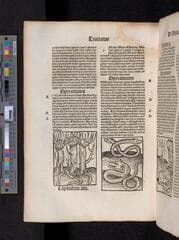 Go to image 418.
