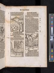 Go to image 639.