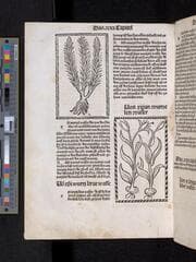 Go to image 284.