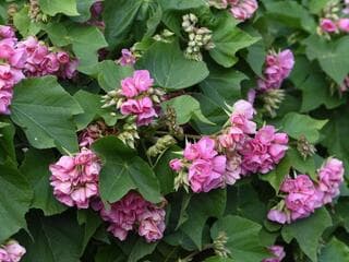 Go to image 30.