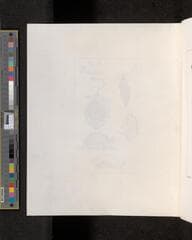 Go to image 232.