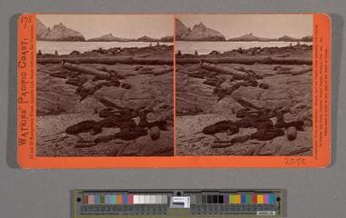 Go to image 1.