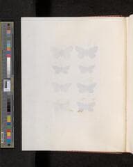 Go to image 44.