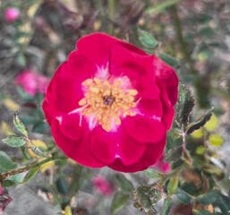 Go to image 1.