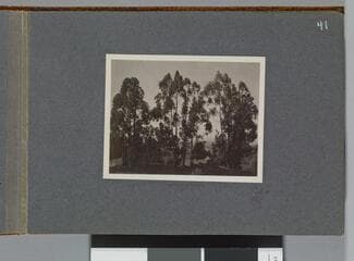 Go to image 43.