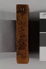 Go to image 105.