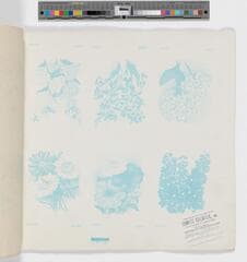 Go to image 6.