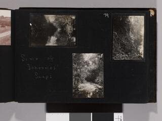 Go to image 81.