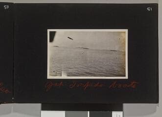 Go to image 53.