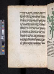 Go to image 194.