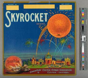 Skyrocket Brand