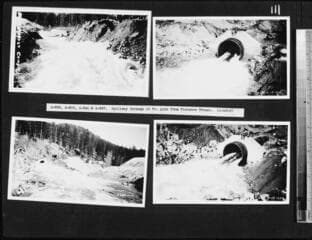 Go to image 116.