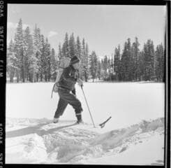 Go to image 7.