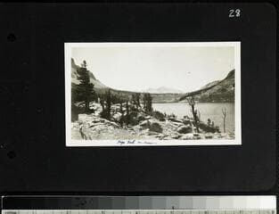 Go to image 29.