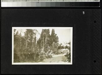 Go to image 10.