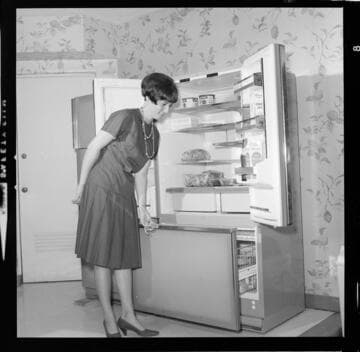 Electric appliances