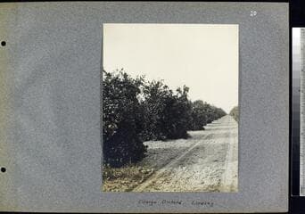 Go to image 22.