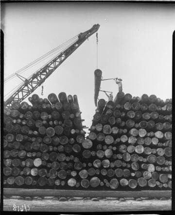 Pole storage yard