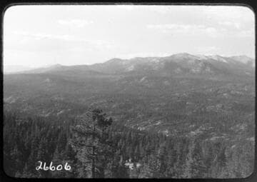Fish Valley