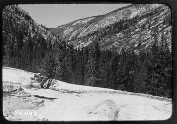 Fish Valley
