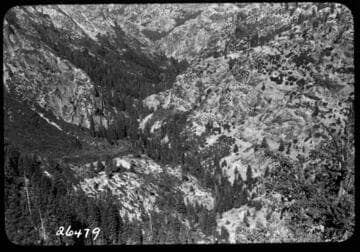 Fish Valley
