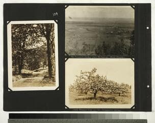 Go to image 104.