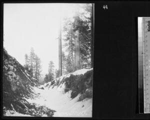 Go to image 49.