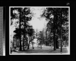 Go to image 29.