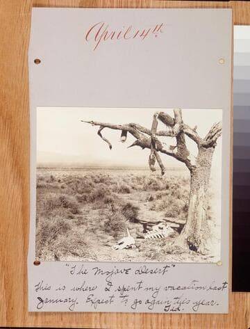 Archery Notebooks of Dr. Edward B. Weston, Vol. 2, February 26 - April 29, 1914