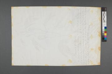 Go to image 1.