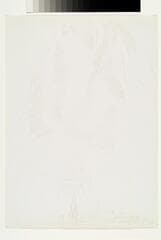 Go to image 2.