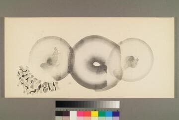 Abstract Forms