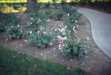 Go to image 13.