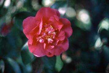 Go to image 3.