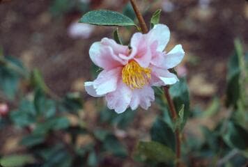 Go to image 14.