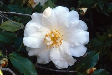Go to image 3.