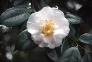 Go to image 4.