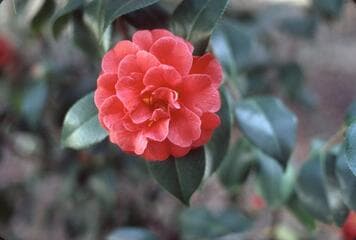 Go to image 19.